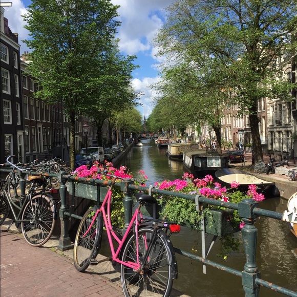 Welcome to my closet! - Picture 1 of 1